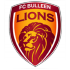 Bulleen Löwen