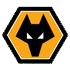 Wolverhampton Wanderers Akademie