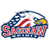 Saginawischer Geist