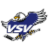 EC VSV