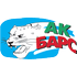 Bars Kasan