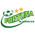 Fortuna Herrenring