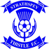 Strathspey Distel